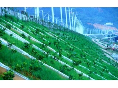 高鐵公路鐵路護坡圖片