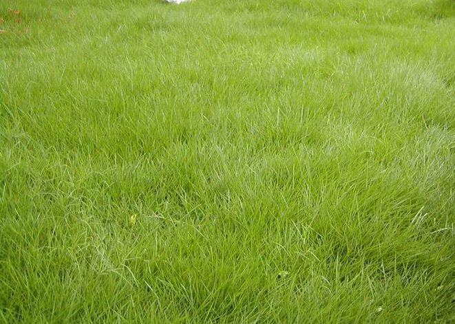 1647535505384340.jpg 1647535505384340.jpg