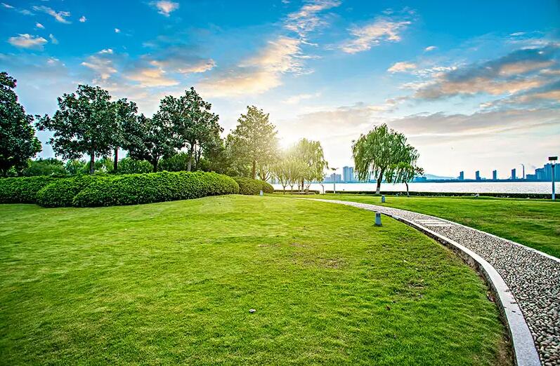 1647538301426365.jpg 1647538301426365.jpg