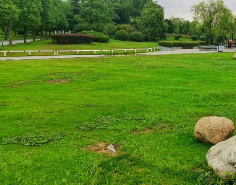 1647538301664690.jpg 1647538301664690.jpg