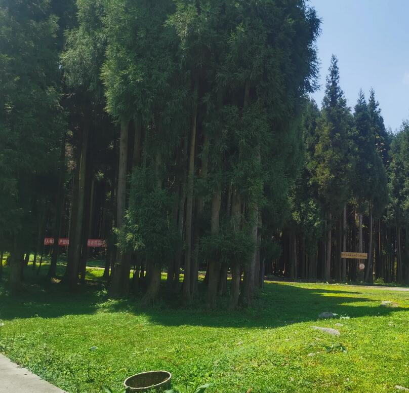 1647538529666639.jpg 1647538529666639.jpg