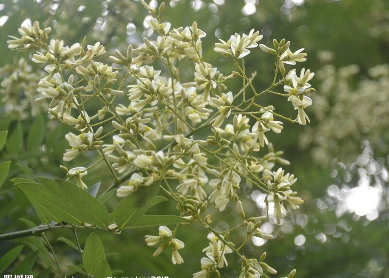 1649046278701672.jpg 1649046278701672.jpg