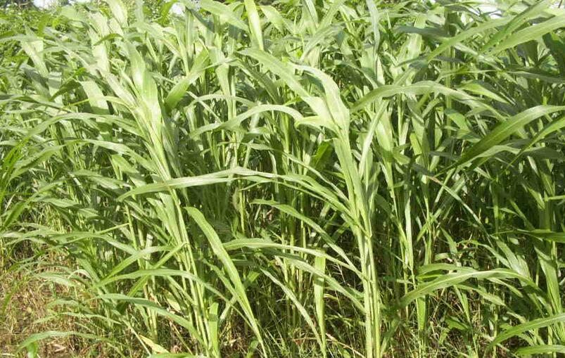 1651544257615302.jpg 1651544257615302.jpg