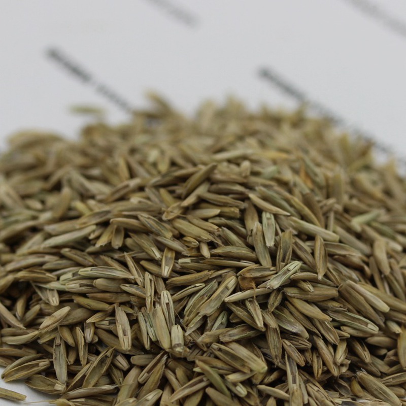 1651545703892475.jpg 1651545703892475.jpg