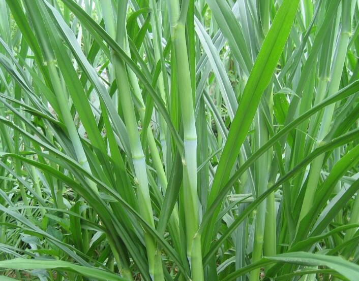 1654495789758544.jpg 1654495789758544.jpg