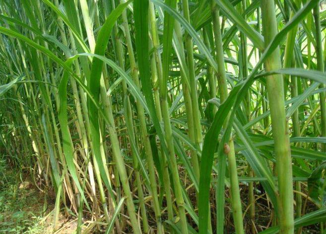 1654495789765203.jpg 1654495789765203.jpg