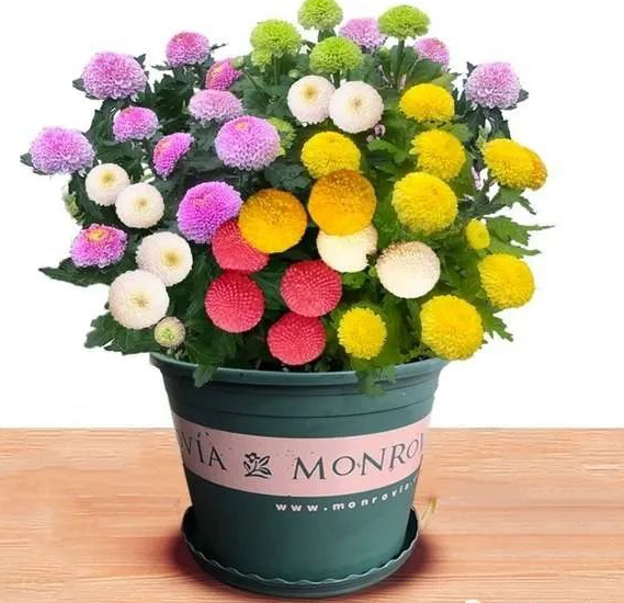 1673825914139473.jpg 微信圖片_20230108151712.jpg