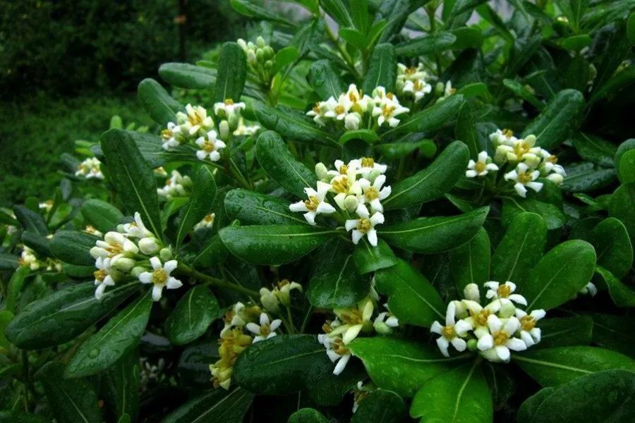 1675199818342788.jpg 微信圖片_20221028174412.jpg