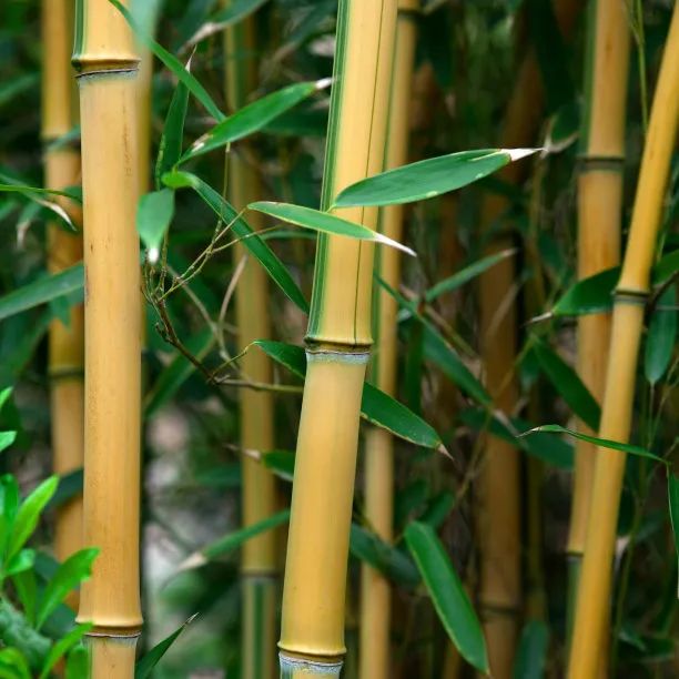 1675199943799308.jpg 微信圖片_20230201051731.jpg