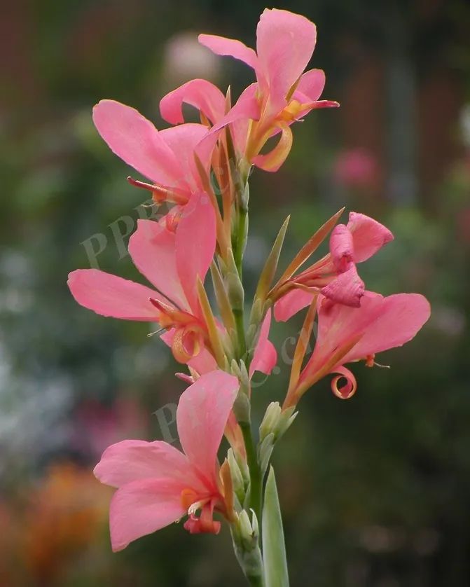 1676583950296957.jpg 微信圖片_20230217054442.jpg