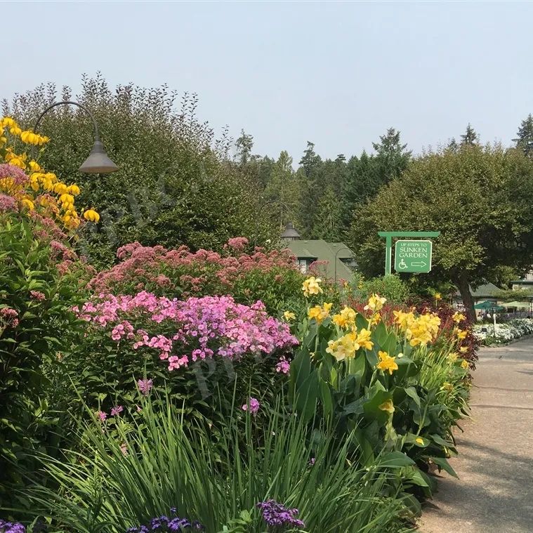 1676583964528956.jpg 微信圖片_20230217054456.jpg