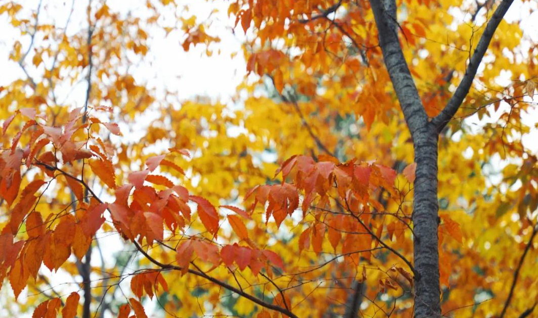 1676895793696258.jpg 微信圖片_20230115185231.jpg