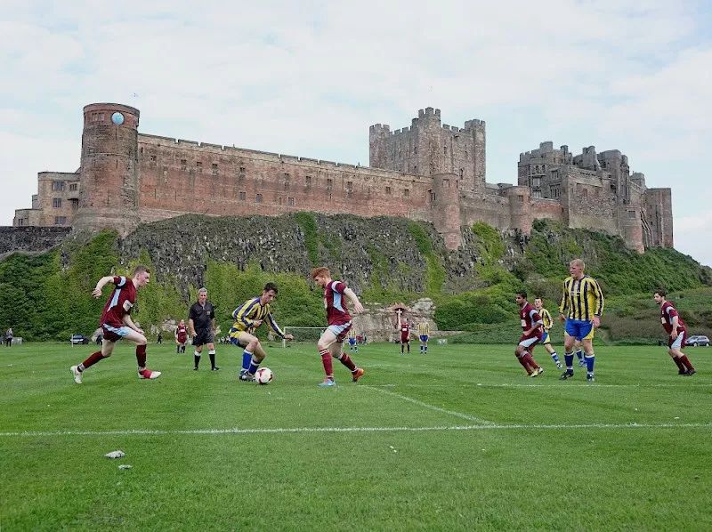 足球場(chǎng)天然草坪