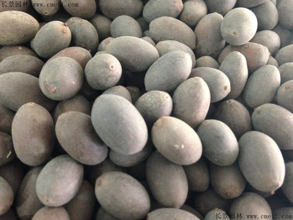 1712192172764588.jpg 1-1F61FZP5261.jpg