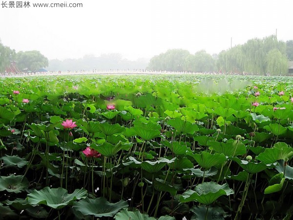 1712459021226433.jpg 1-1F52Z956262O.jpg