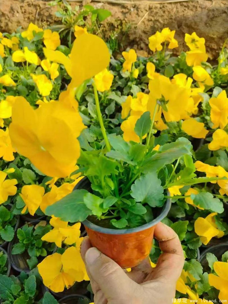 1735000875683031.jpg 微信圖片_20241224083944.jpg