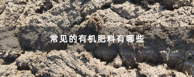 常見的有機肥料有哪些